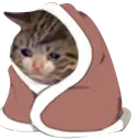 zzz_Cozycat Discord Emoji