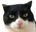 nani Discord emoji
