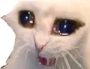 sadkat
