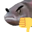 badfish badfish