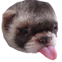 blep blep