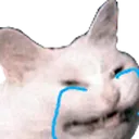 Ech_Crying Discord Emoji