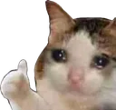 catsadok Discord Emoji