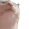 catJAM
