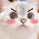 cat1 Discord emoji