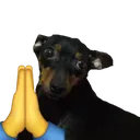 DavisPray