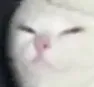 dont