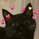 KittyLove
