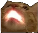 AA AA