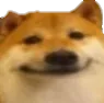 smile_dog