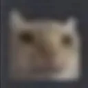 st