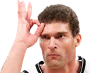 Brook3