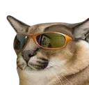 coolFloppa