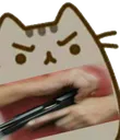 CatGun