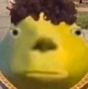 bruh