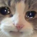 sad
