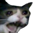 reeee Discord emoji