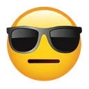 sh_vsunglasses sh_vsunglasses