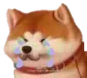 dogecry