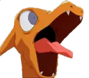 Charizardshocked