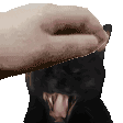 akisquish Discord emoji