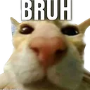 hayve_bruh