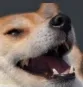 keks