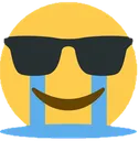 crying_sunglasses crying_sunglasses
