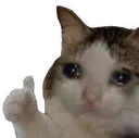 Cat Thumbs Up catthumbsup Discord Emoji