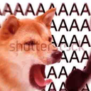 :AAAA:
