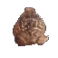 froge