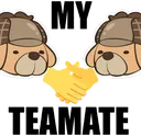 MyTeamate