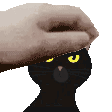 TS_slinky_pet