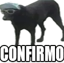 Confirmo
