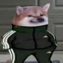 dogecool