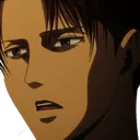 11_levida 11_levida