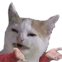 catwhat Discord emoji