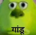 z_gandu