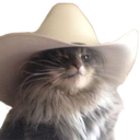 meowdy Discord emoji