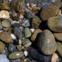 rocks