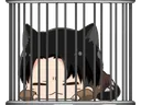 saminacage