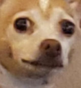 CKN_concerned Discord emoji