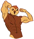 7HootyJpose