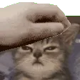 PETTHEANGY PETTHEANGY