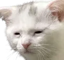 sad