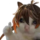 zhongcat_thumbsup_alexm