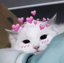 Catluv catluv Discord Emoji