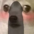 ChiwaOmg