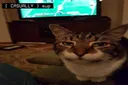 sup