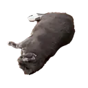 OurLucyButLoaf
